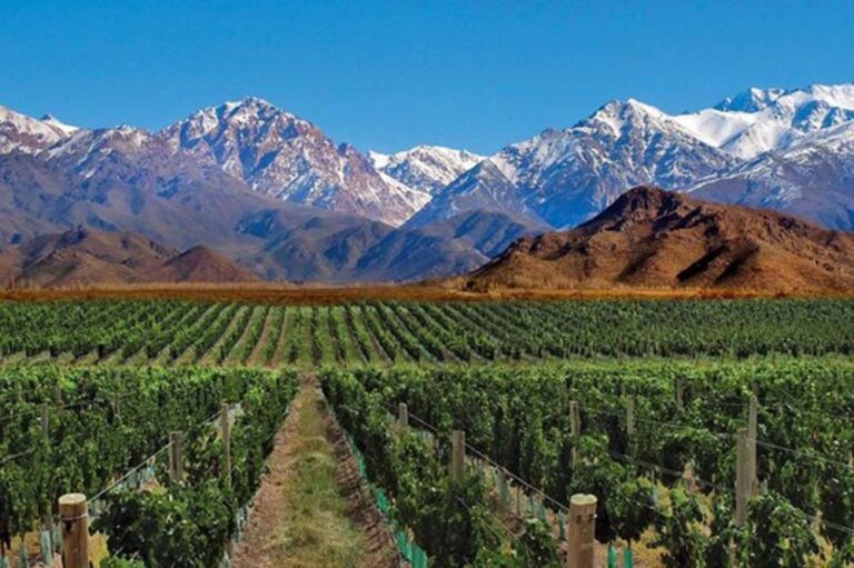 ¿Cómo viajar de Buenos Aires a Mendoza sin tomar un avión?