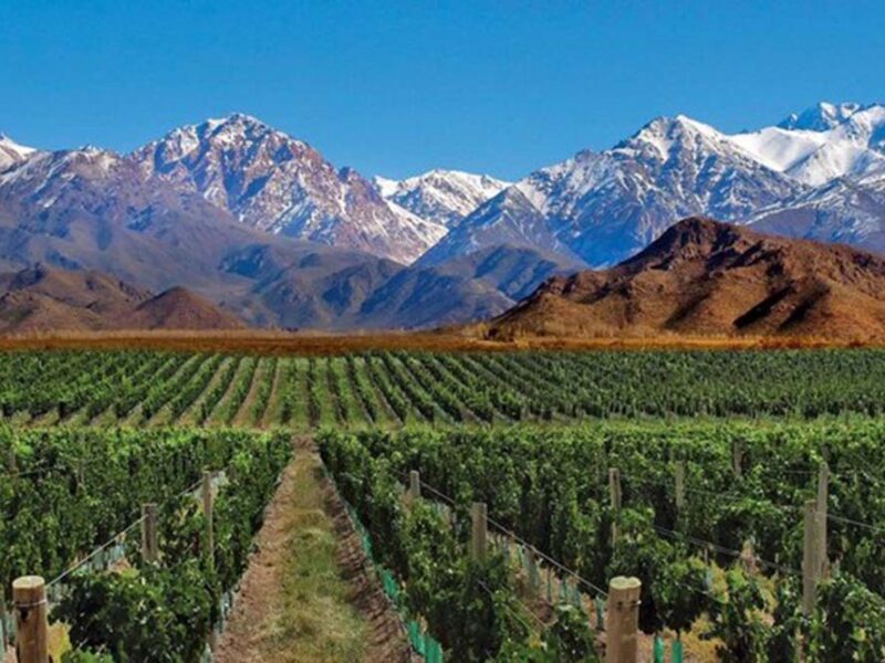 ¿Cómo viajar de Buenos Aires a Mendoza sin tomar un avión?
