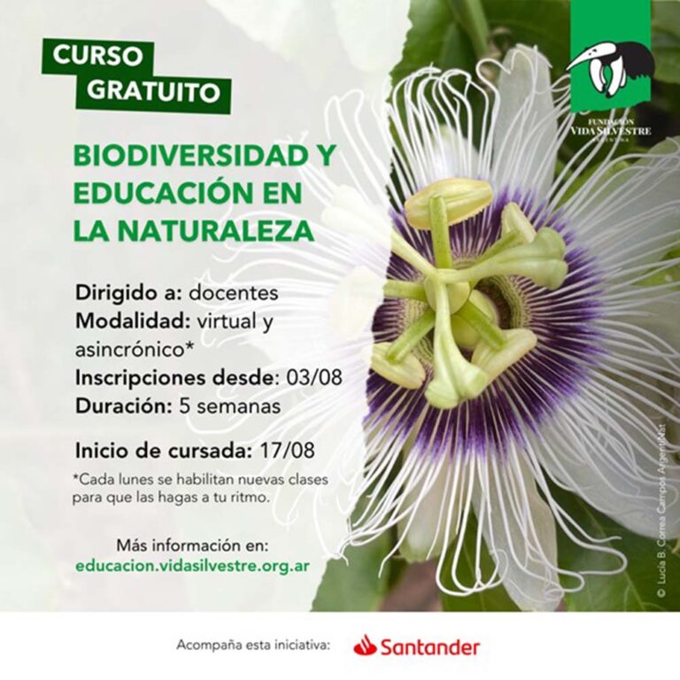 Fundación Vida Silvestre Argentina lanza un curso gratuito sobre biodiversidad y educación en la naturaleza para docentes de todo el país