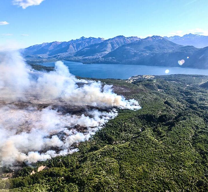 Incendios forestales: Greenpeace reclama no flexibilizar las leyes ambientales y aumentar prevención y presupuesto