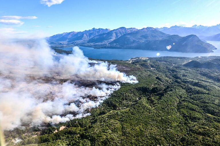 Incendios forestales: Greenpeace reclama no flexibilizar las leyes ambientales y aumentar prevención y presupuesto