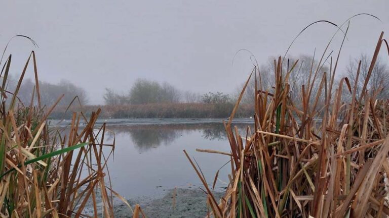 Denuncian que la Provincia recortó un 30% la Reserva Natural Laguna de Rocha con un artículo oculto en la Ley de Presupuesto