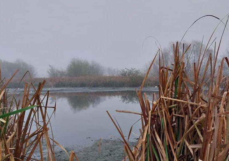 Denuncian que la Provincia recortó un 30% la Reserva Natural Laguna de Rocha con un artículo oculto en la Ley de Presupuesto