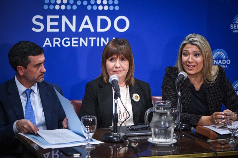 Márquez: “Nadie se queda con el petróleo, el gas o el litio por comprar un terreno, es falso. Los recursos naturales pertenecen a las provincias”