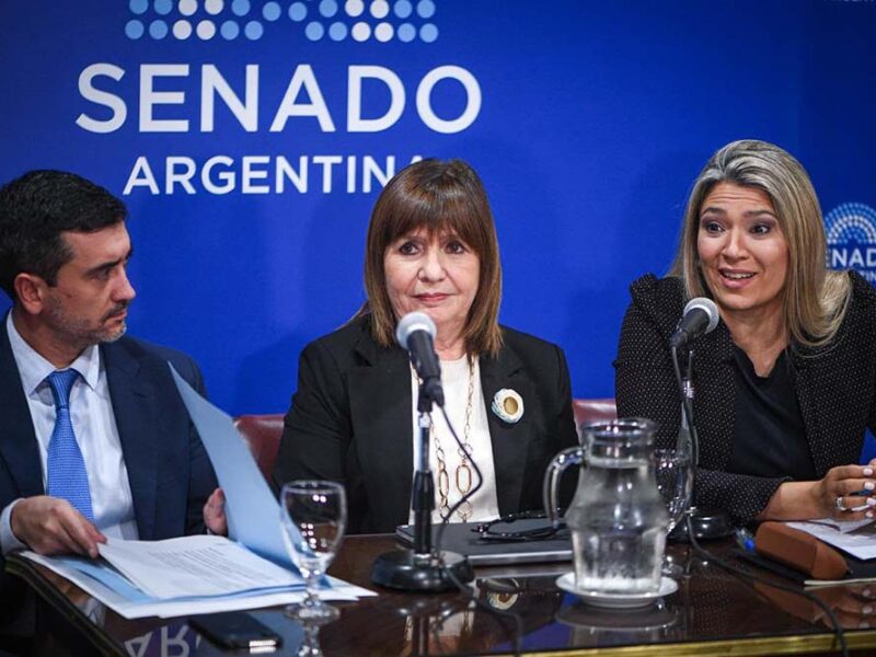 Márquez: “Nadie se queda con el petróleo, el gas o el litio por comprar un terreno, es falso. Los recursos naturales pertenecen a las provincias”