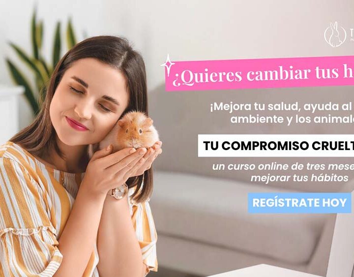 Programa gratuito invita a jóvenes a transformar sus hábitos de consumo cosmético, alimenticio y de moda