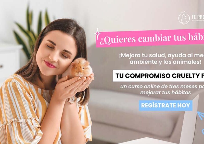 Programa gratuito invita a jóvenes a transformar sus hábitos de consumo cosmético, alimenticio y de moda
