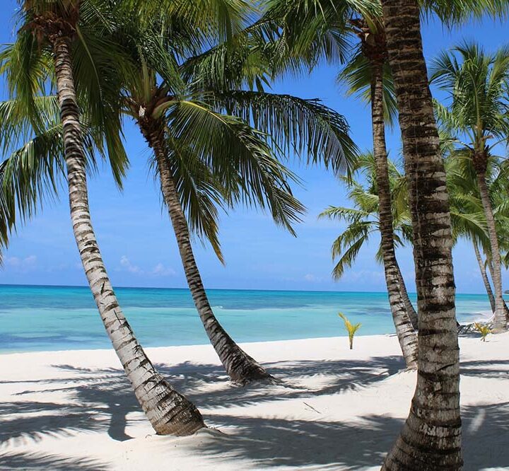 Mendoza, Punta Cana y Miami impulsan las búsquedas para el próximo feriado