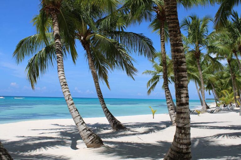 Mendoza, Punta Cana y Miami impulsan las búsquedas para el próximo feriado