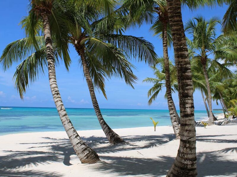 Mendoza, Punta Cana y Miami impulsan las búsquedas para el próximo feriado