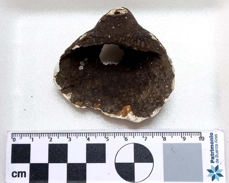 Se abre la convocatoria para participar en la XII Semana de Arqueología y Paleontología