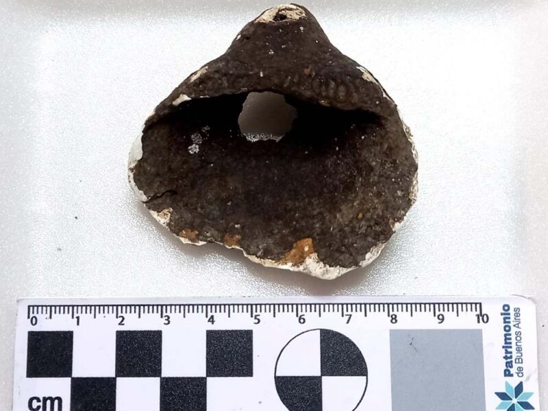 Se abre la convocatoria para participar en la XII Semana de Arqueología y Paleontología
