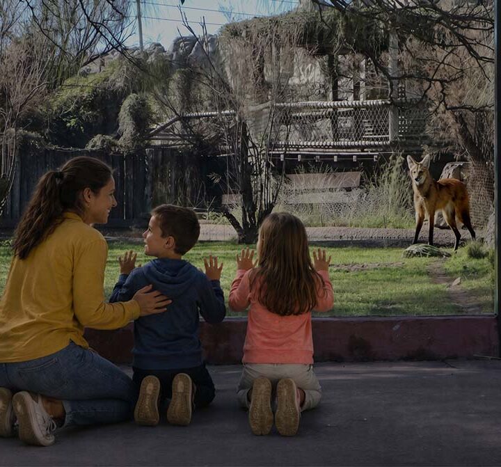 Por el Mes de la Niñez, el Bioparque Temaikèn ofrece 50% de descuento en sus entradas durante todo agosto