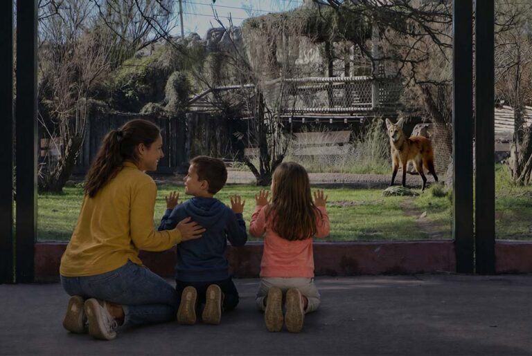 Por el Mes de la Niñez, el Bioparque Temaikèn ofrece 50% de descuento en sus entradas durante todo agosto