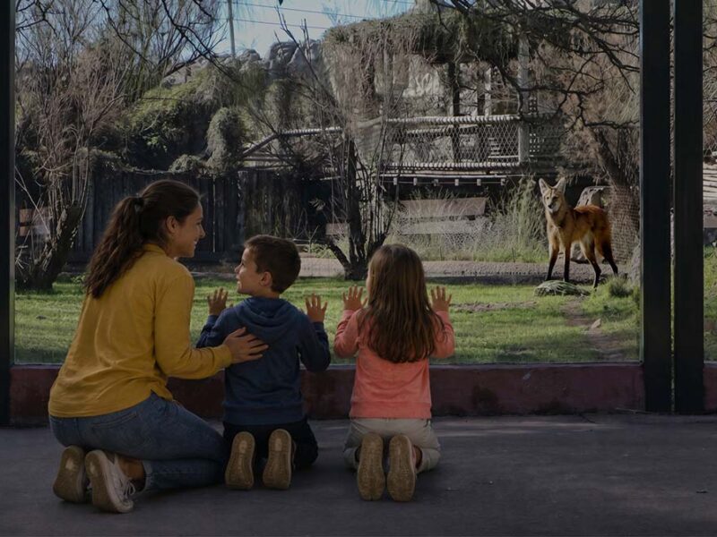 Por el Mes de la Niñez, el Bioparque Temaikèn ofrece 50% de descuento en sus entradas durante todo agosto