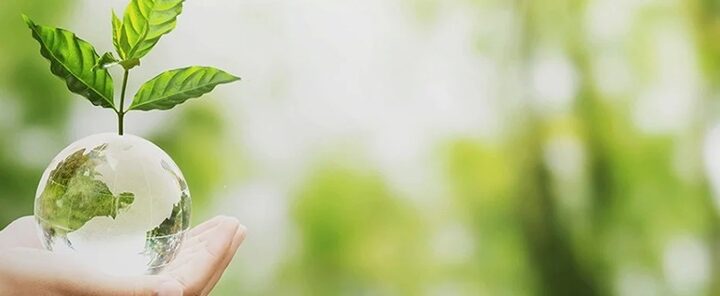 Allianz Argentina presentó su Reporte de Sustentabilidad 2025