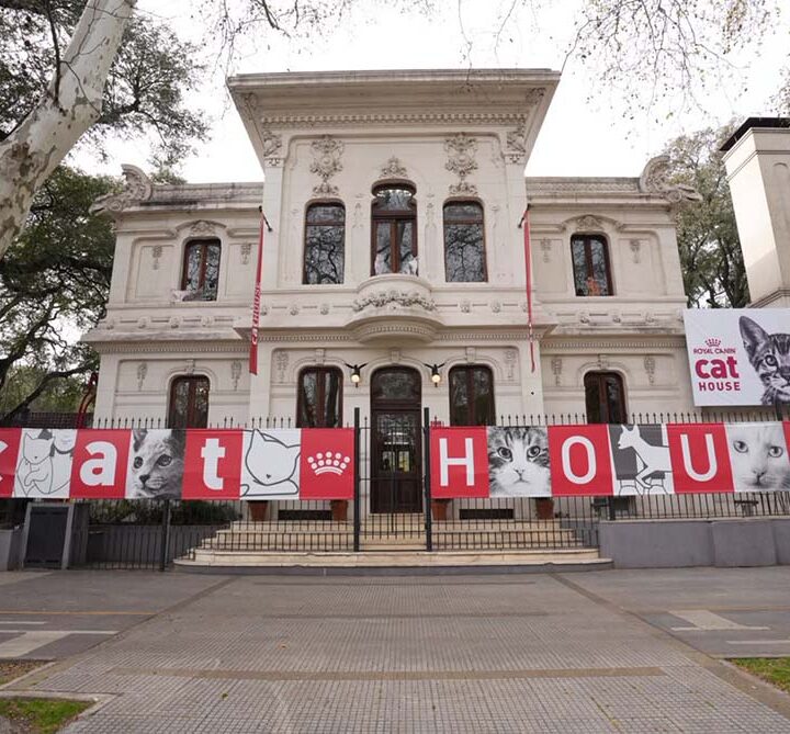 Cat House de Royal Canin: una experiencia interactiva que reunió a más de mil amantes de los gatos
