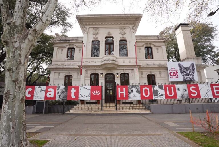Cat House de Royal Canin: una experiencia interactiva que reunió a más de mil amantes de los gatos
