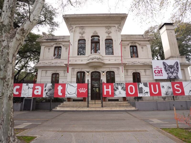 Cat House de Royal Canin: una experiencia interactiva que reunió a más de mil amantes de los gatos