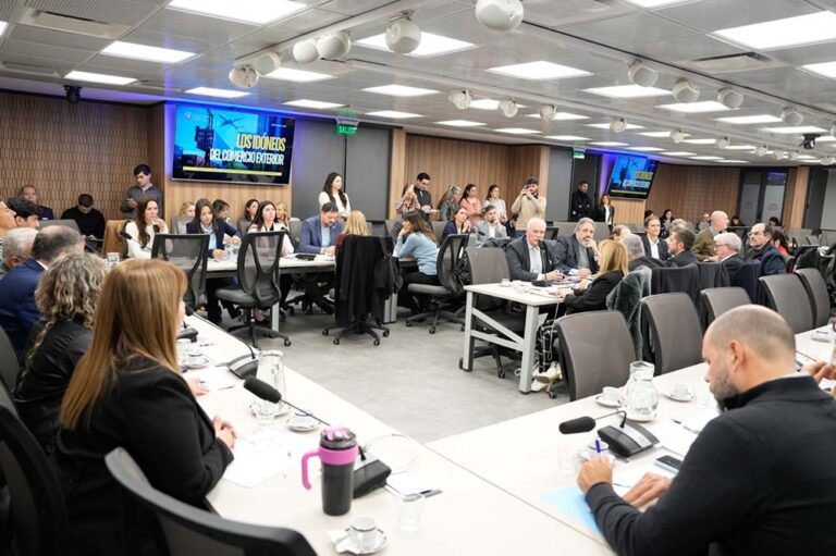 Despachantes de Aduana presentaron un proyecto de ley para revisar los cambios del DNU 70/2023 y resolver las contradicciones normativas que afectan al sector