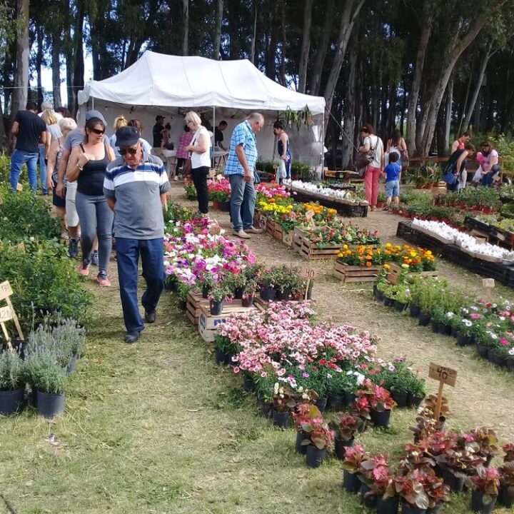 15° Expo Vivero Cazón: la primavera florece entre un millon de arboles