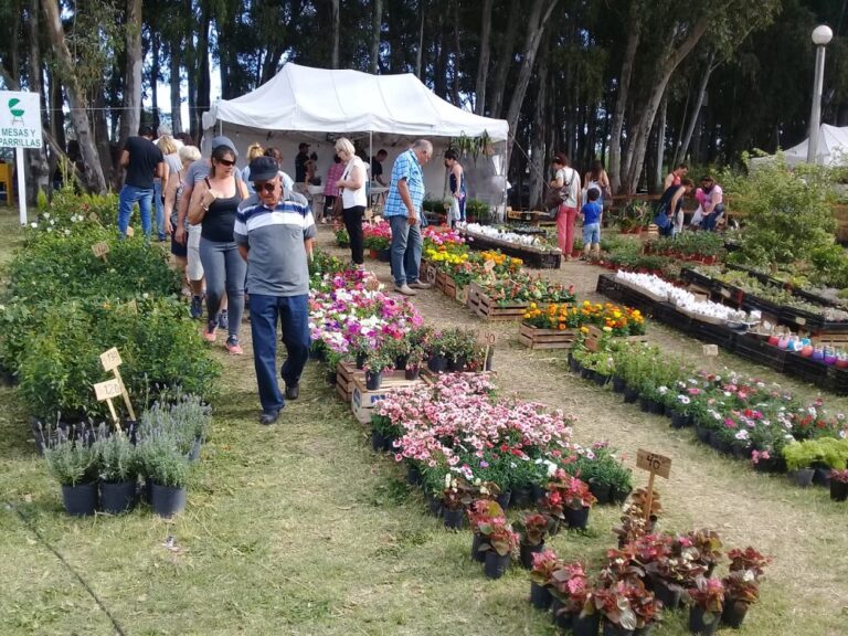 15° Expo Vivero Cazón: la primavera florece entre un millon de arboles