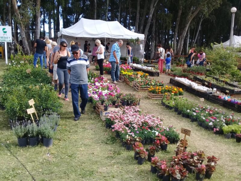 15° Expo Vivero Cazón: la primavera florece entre un millon de arboles