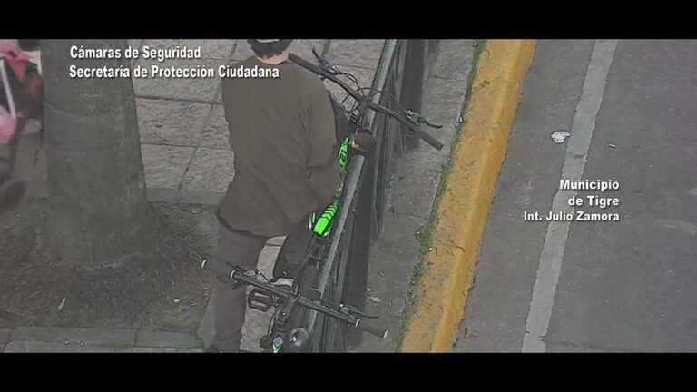 Las cámaras del COT detectaron un ilícito en Tigre centro: un individuo quedó detenido por el hecho