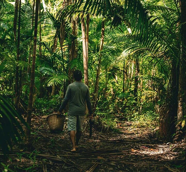 Mes de la Amazonia: ¿Cómo Natura transforma la biodiversidad?