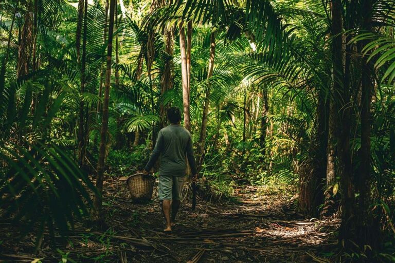 Mes de la Amazonia: ¿Cómo Natura transforma la biodiversidad?