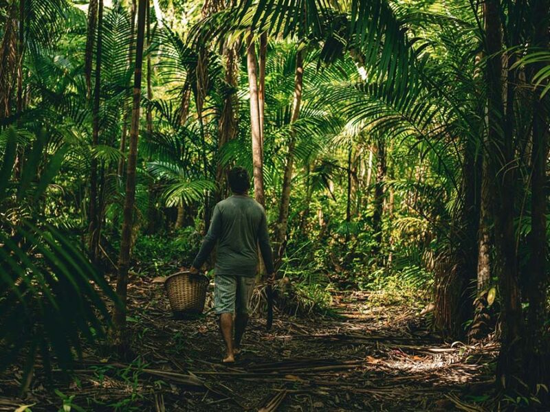 Mes de la Amazonia: ¿Cómo Natura transforma la biodiversidad?