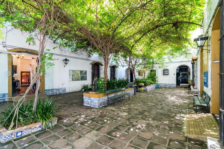 El Museo Saavedra abre sus jardines para recibir la primavera