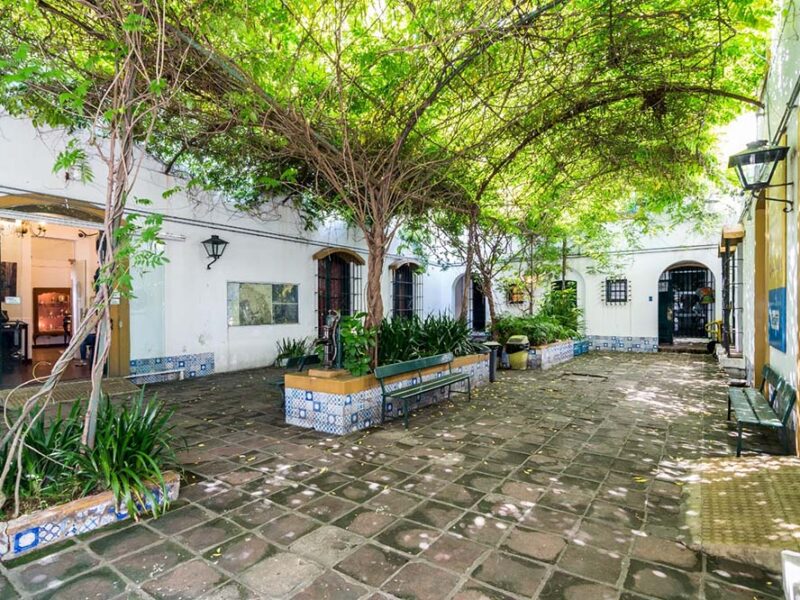 El Museo Saavedra abre sus jardines para recibir la primavera