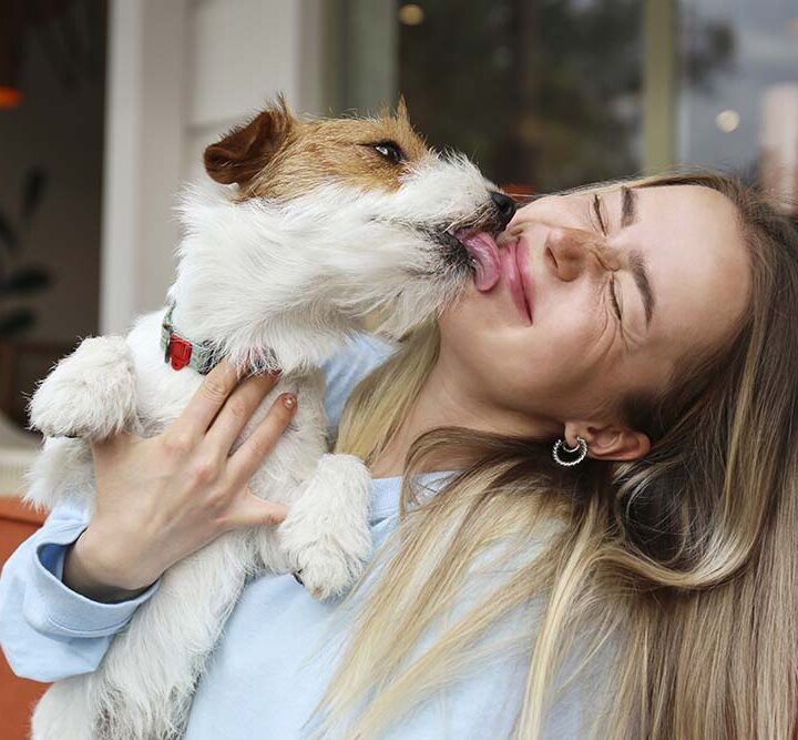 Problemas digestivos, de piel y articulares encabezan las consultas en las veterinarias