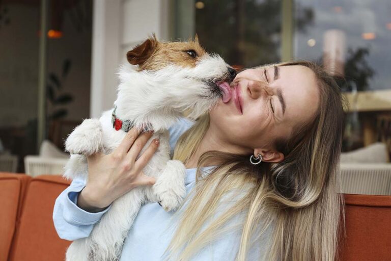 Problemas digestivos, de piel y articulares encabezan las consultas en las veterinarias