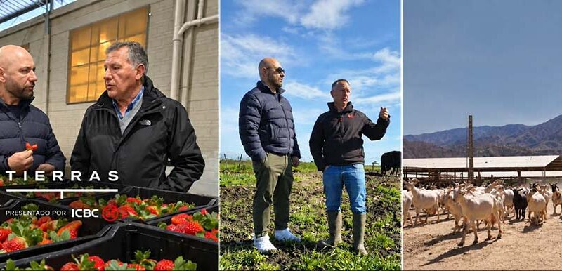 “Proyecto Tierras”: ICBC y Germán Martitegui presentan la sexta edición del ciclo que revaloriza la producción argentina