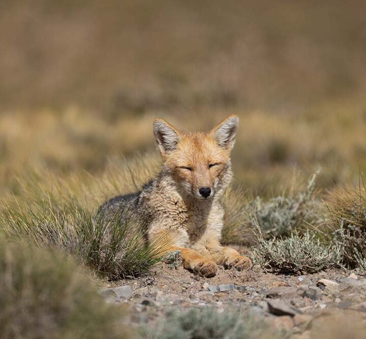 26 años de una Reserva que conecta naturaleza, ciencia y comunidad