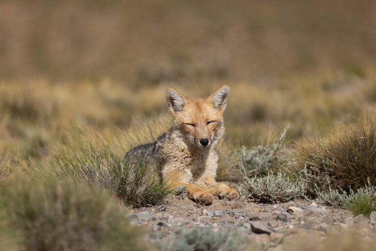 26 años de una Reserva que conecta naturaleza, ciencia y comunidad