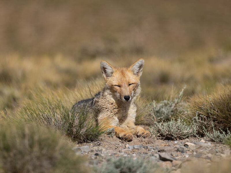 26 años de una Reserva que conecta naturaleza, ciencia y comunidad