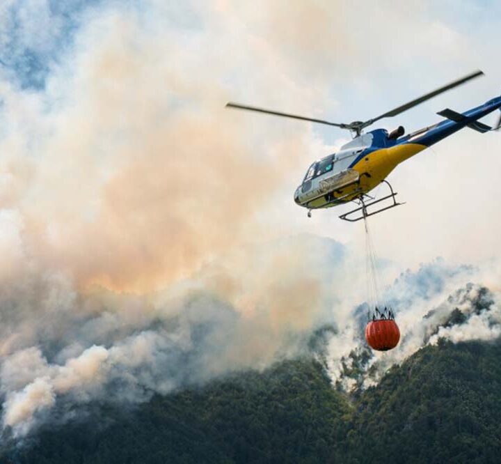 Fenómeno de El Niño: Protección y prevención frente a incendios  forestales