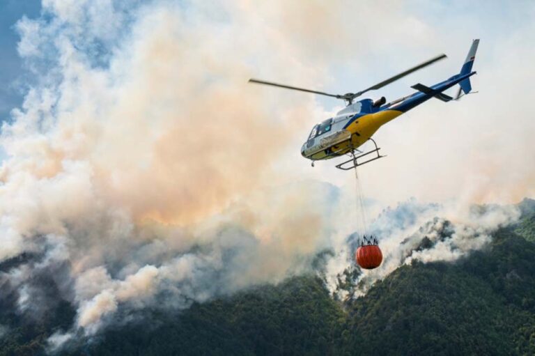 Fenómeno de El Niño: Protección y prevención frente a incendios  forestales