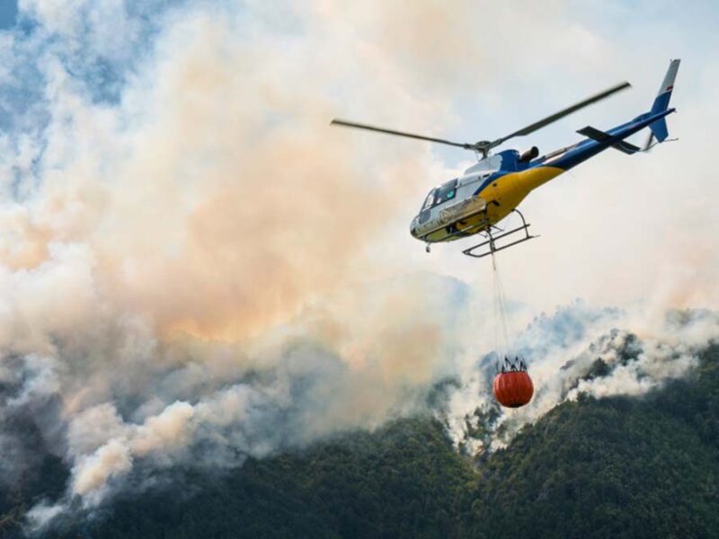Fenómeno de El Niño: Protección y prevención frente a incendios  forestales
