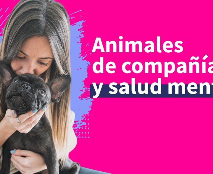 Animales de compañía y salud mental: el vínculo que acompaña, y que duele cuando termina