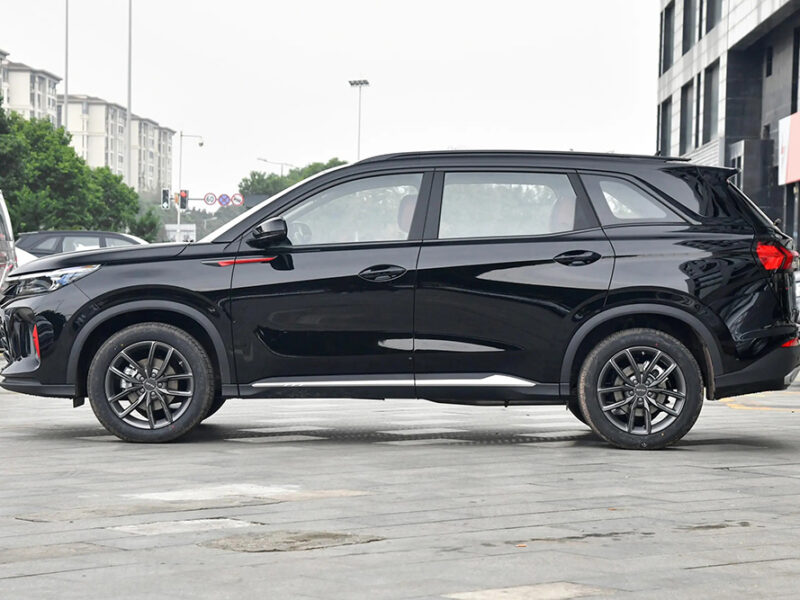 Éxito rotundo: Más de 30.000 personas disfrutaron de la primera edición de Expo Auto Chino 2026
