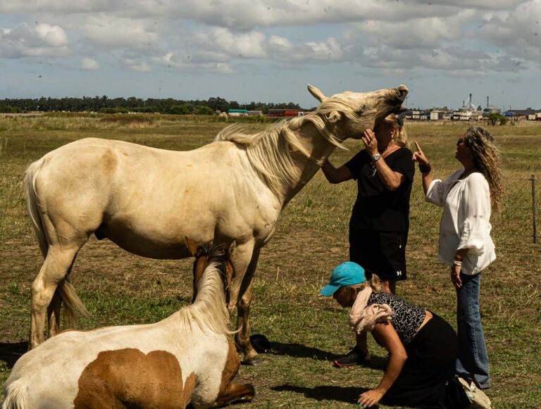 Caballos Maestros: un encuentro para volver a vos en el Mes de la Madre