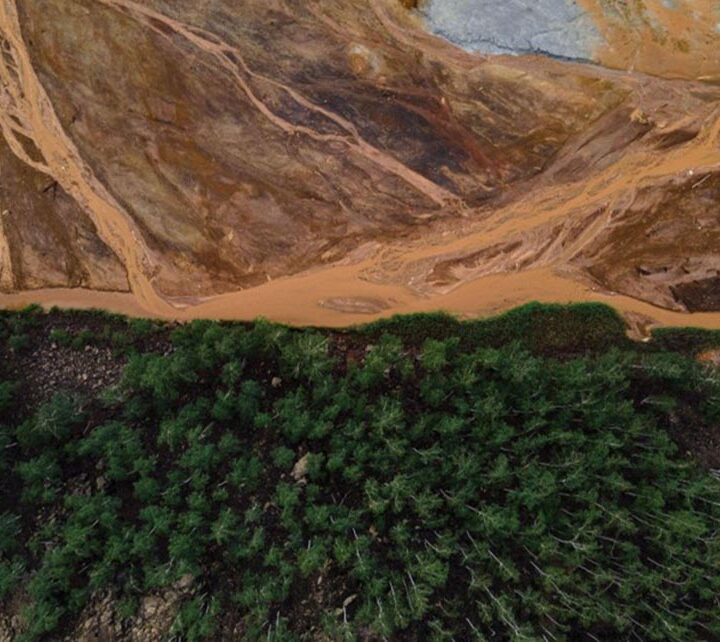 Día contra el Cambio Climático: lo que comemos, la variable que falta en la agenda climática de América Latina