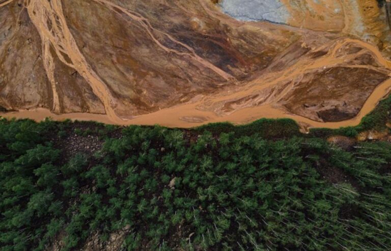 Día contra el Cambio Climático: lo que comemos, la variable que falta en la agenda climática de América Latina