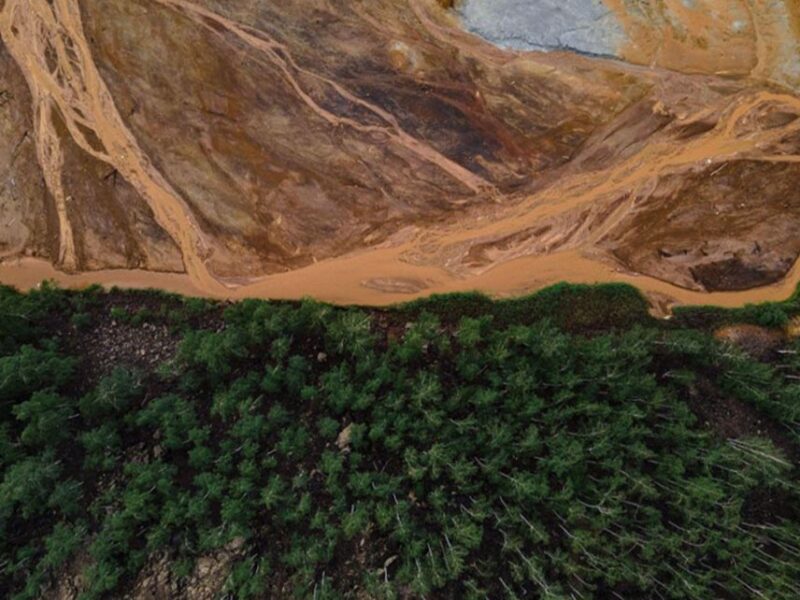 Día contra el Cambio Climático: lo que comemos, la variable que falta en la agenda climática de América Latina