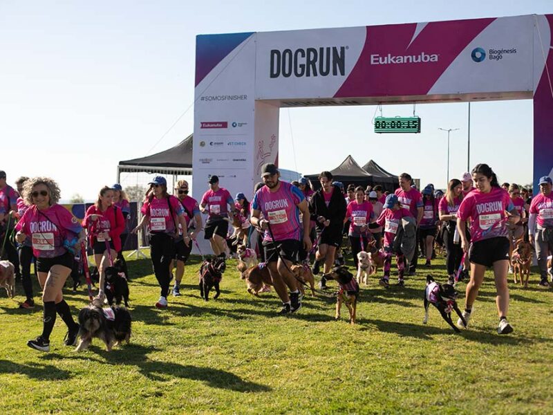 Un vínculo que se celebra en movimiento: Eukanuba acompañó una nueva edición de DOGRUN junto a más de 1.200 personas