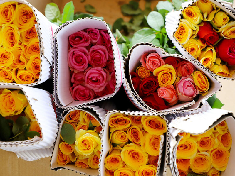Flores que vuelan: los desafíos logísticos de un producto que no puede esperar